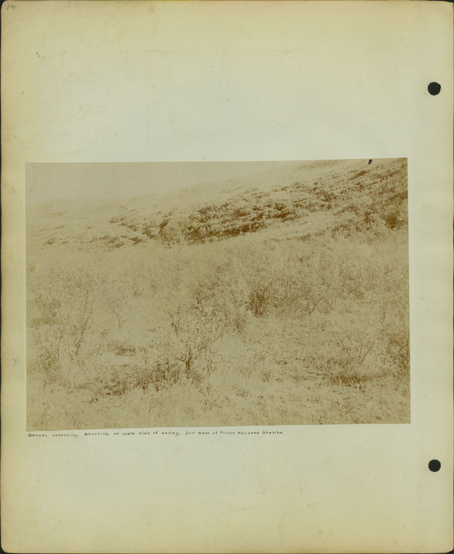 Frank Shoemaker, Narratives, Thomas County, July 3-11, July 27-30, 1911