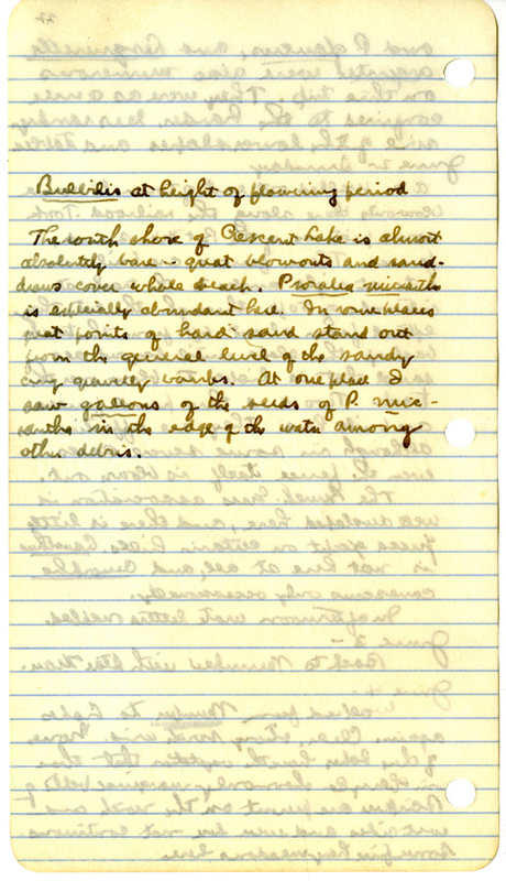 Raymond J. Pool Field Notes and Records