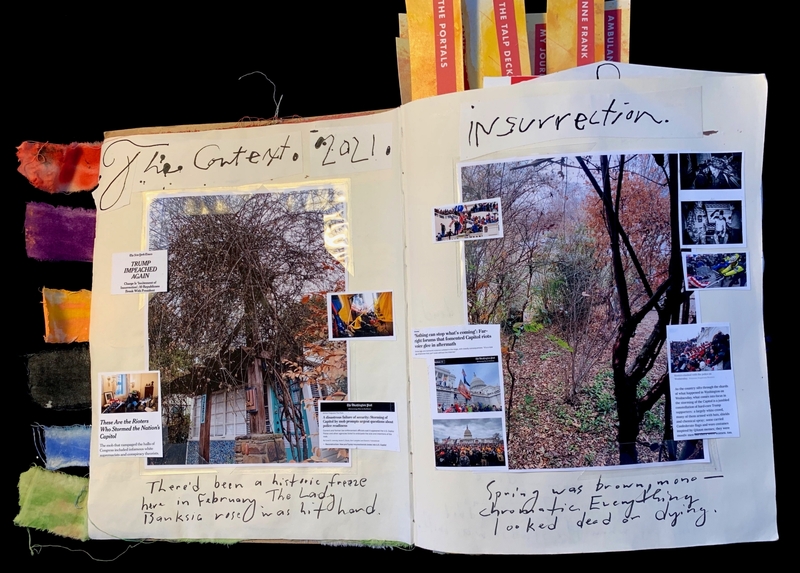 Open journal with images of trees and news clippings about political events.