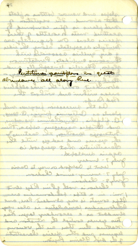 Raymond J. Pool Field Notes and Records