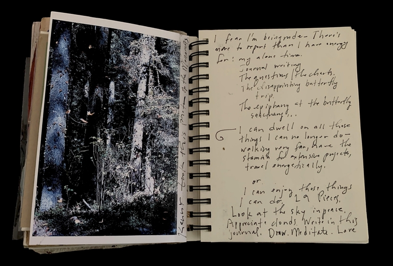 : A journal page featuring a photograph of a forest and handwritten reflections on aging and personal challenges.