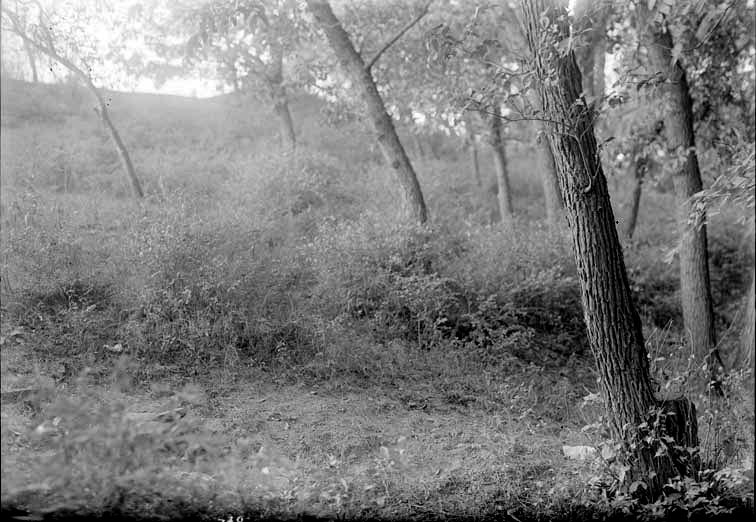 Branson Grove, Salt Creek, 7.30 pm. Sept. 22, 1918. Lancaster County. Frank H. Shoemaker (321301-A0809)