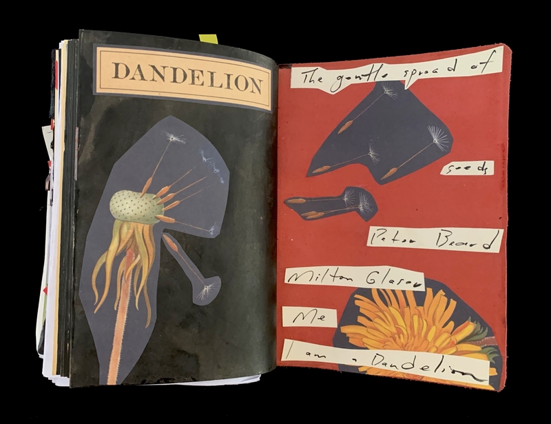 A page from a book titled "Dandelion" featuring illustrations and handwritten notes.