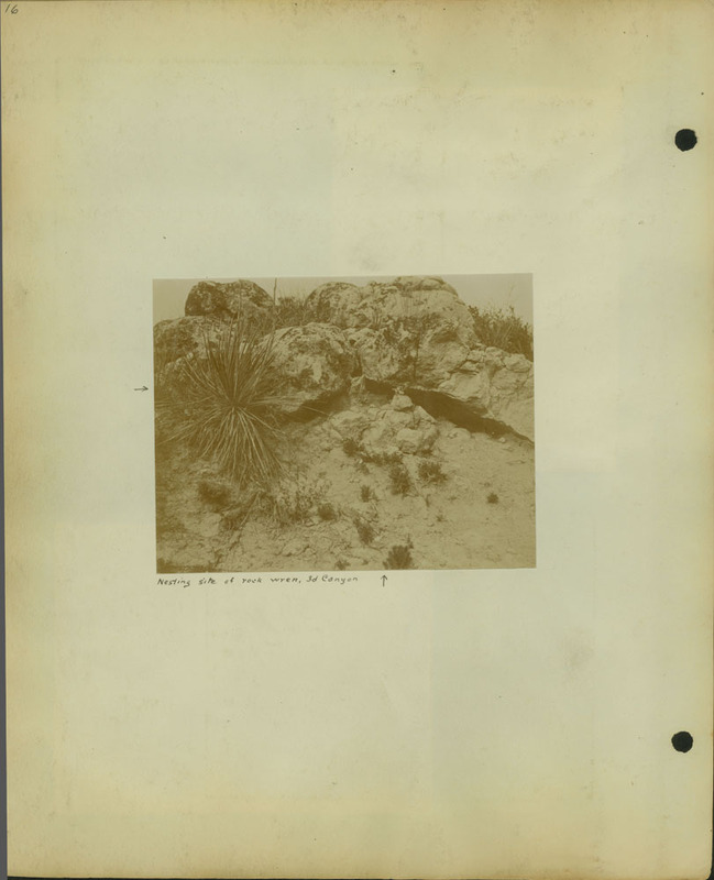 Frank Shoemaker Narratives, Sidney, Banner County, Scotts Bluff, July 30-Aug. 9, 1911