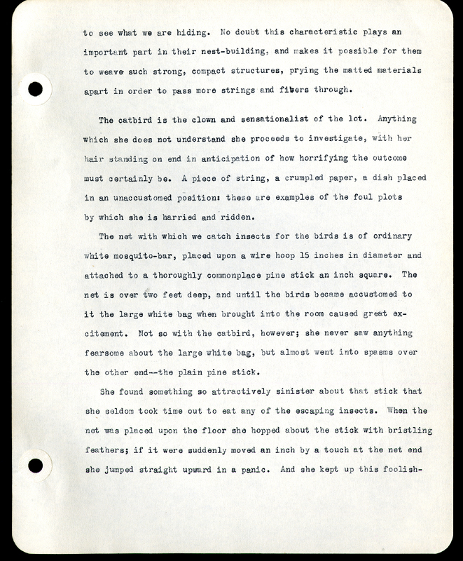 Frank H. Shoemaker typescript narrative, 29 pages,  on the bird room in Omaha home, with details on bird and insects.