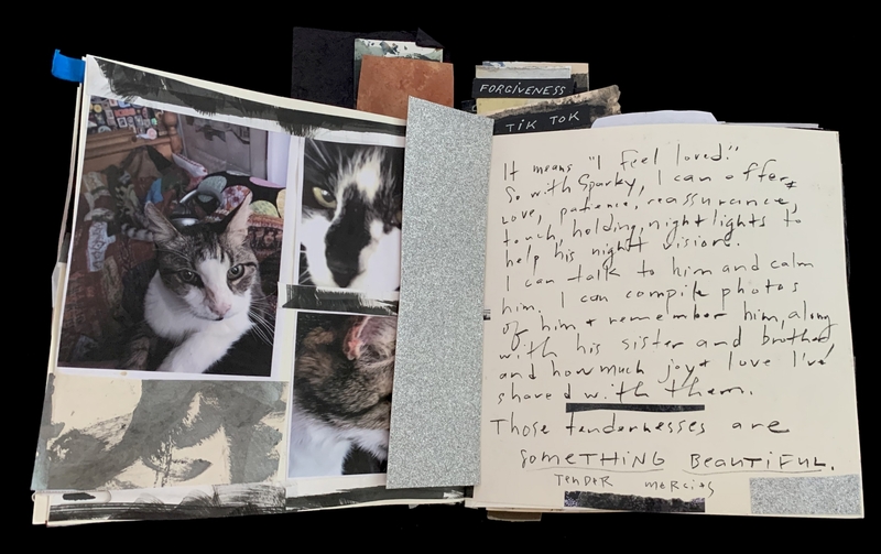 An open scrapbook showing cat photos and handwriting with tabs marked "FORGIVENESS" and "TIK TOK."