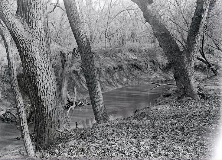 Original caption: Salt Creek near Saltillo. Oct. 1919