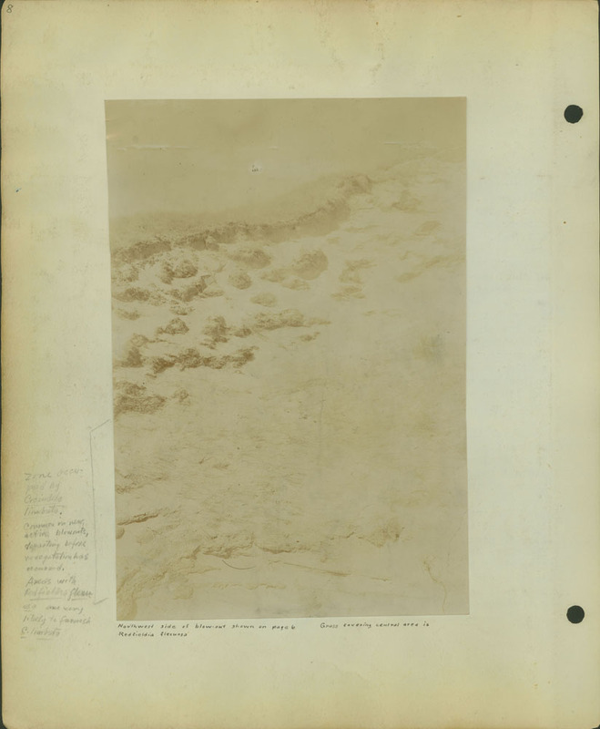 Frank Shoemaker, Narratives, Thomas County, July 3-11, July 27-30, 1911