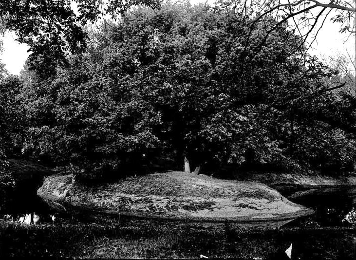 Branson, curve of creek immediately south of Wagon bridge. May 20, 1922. Lancaster County. Frank H. Shoemaker (321301-A1384)