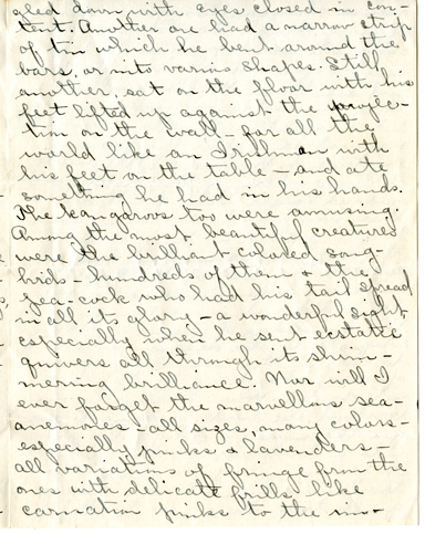 Edith Schwartz Clements, Letters, June 29, 1911