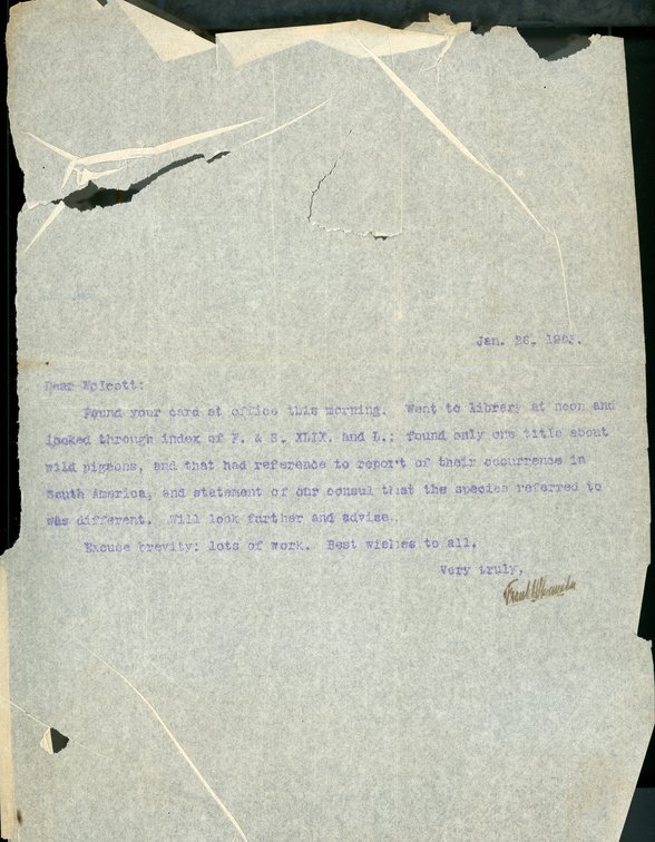 Typewritten letter, 1 page, from Frank H. Shoemaker to Robert H. Wolcott, "Found your card at office this morning. Went to library at noon and looked through index of F.&S. XLIX. and L.: found only one title about wild pigeons, and that had reference to report of their occurences in South America, and statement..."