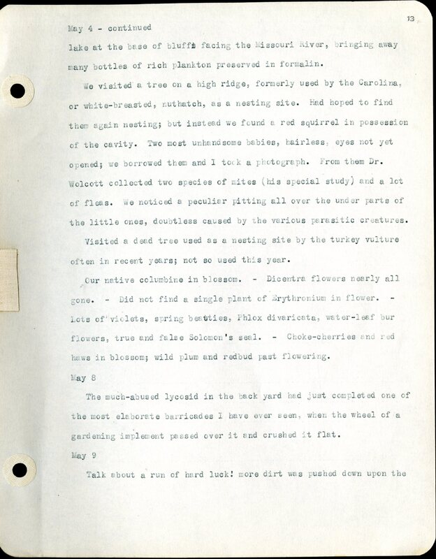Frank H. Shoemaker typescript, 46 pages, detailing bird sightings, field trips, photography, and associated activities in Omaha, Nebraska.