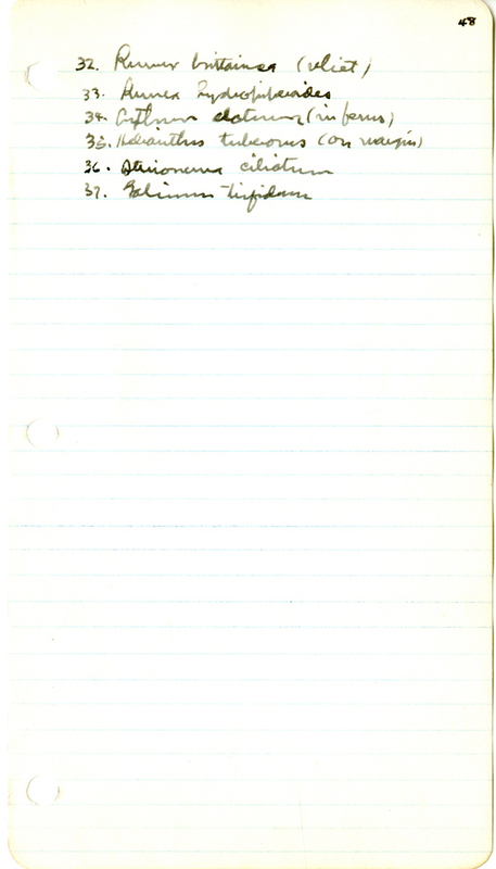 Raymond J. Pool Field Notes and Records