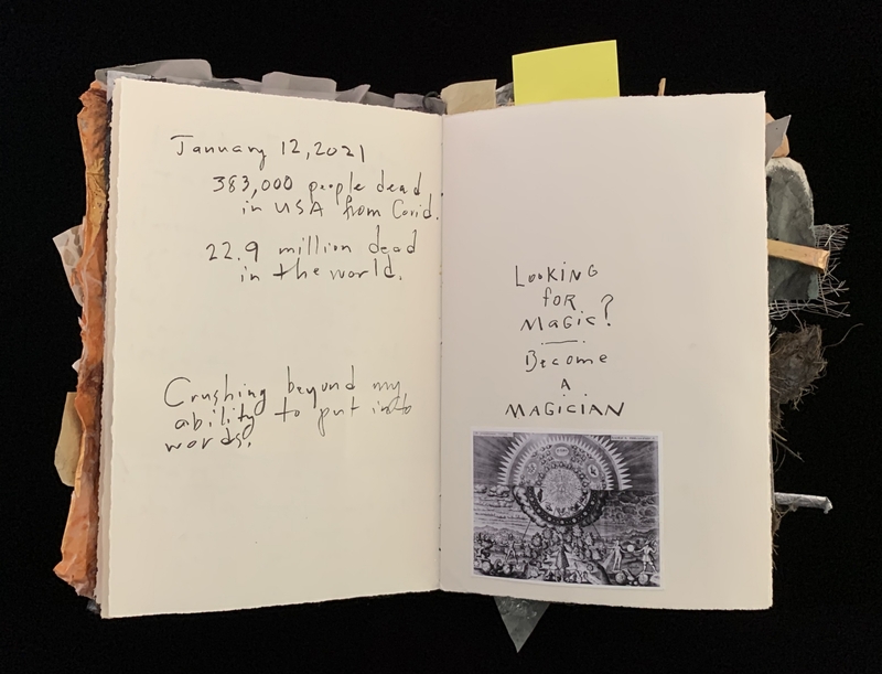 A journal entry dated January 12, 2021, reflecting on the COVID-19 pandemic with a note about the number of deaths and a whimsical suggestion to "become a magician."