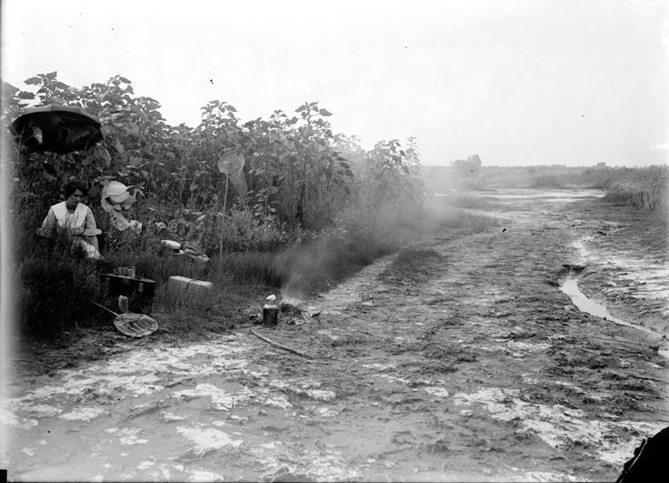 Original caption: Habitat of Cicindela togata var. apialis. Salt Basin, Lincoln. An unidentified woman seated under an umbrella. Aug. 8, 1915