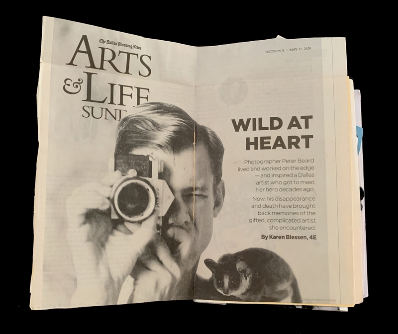A newspaper page from "The Dallas Morning News" featuring an article titled "Wild at Heart" about photographer Peter Beard.