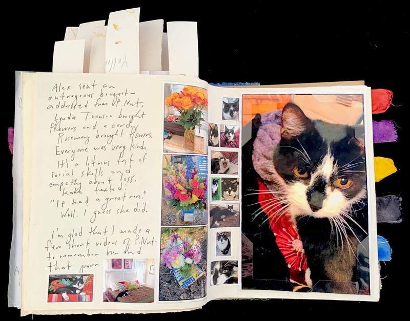 Open journal with handwritten text and photos of a cat and flowers.