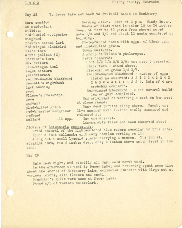 Frank Shoemaker - Omaha, Lincoln, and Nebraska Narratives