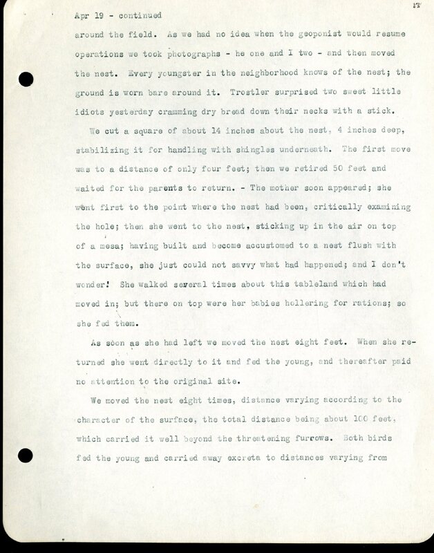 Frank H. Shoemaker typescript, 32 pages, detailing bird sightings, field trips, photography, and associated activities in Omaha, Nebraska.