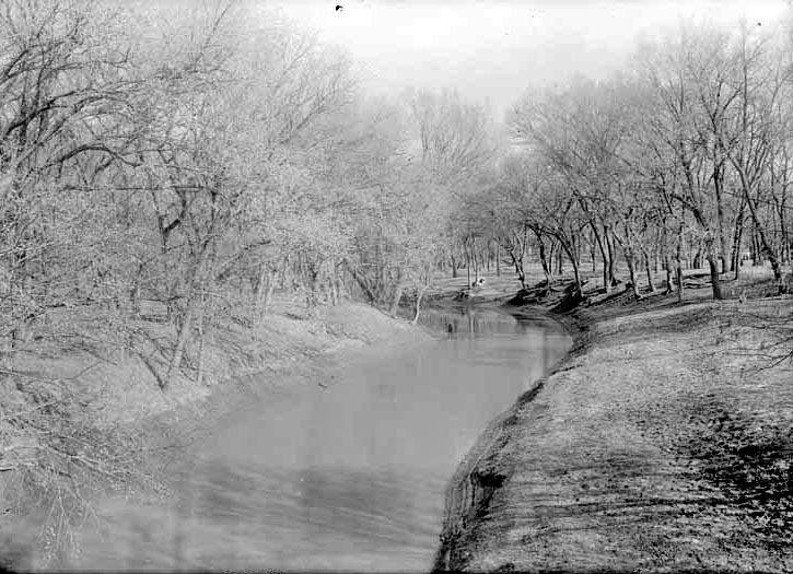 Salt Creek, Branson woods. Lancaster County. Frank H. Shoemaker (321301-A1018)