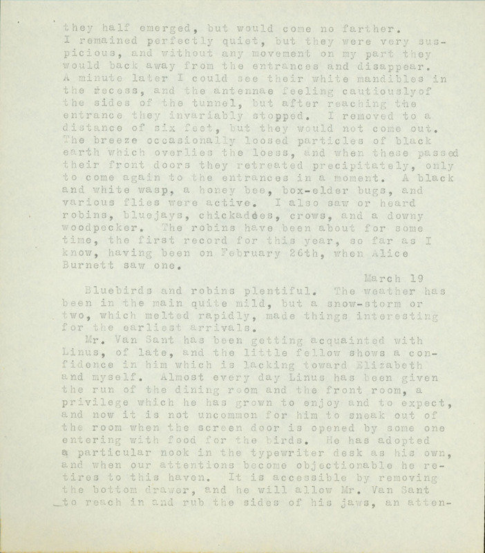 Frank Shoemaker - Omaha, Lincoln, and Nebraska Narratives