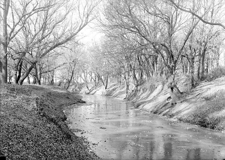 Salt Creek: Branson Woods, icebound. Nov. 13, 1920. Lancaster County. Frank H. Shoemaker (321301-A1209)
