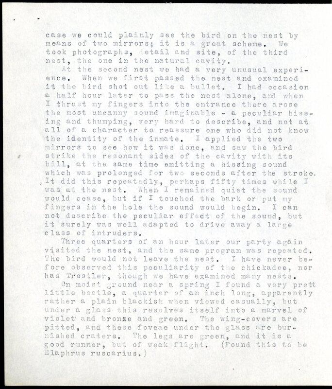 Frank H. Shoemaker typescript, 20 pages, detailing bird sightings, field trips, photography, and associated activities in Omaha, Nebraska.