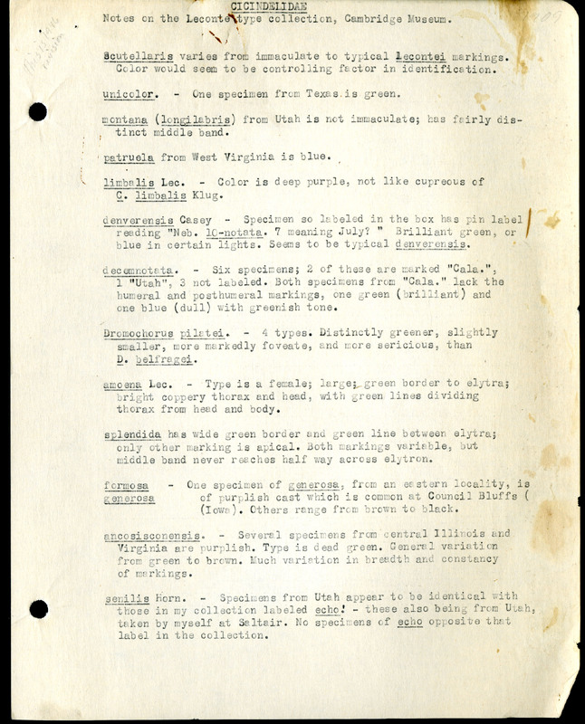 Frank H. Shoemaker typescript, 31 pages, including notes and list on CICINDELIDAE in the Carnegie Museum, Pittsburgh, PN, Nebraska, and his own collection.
