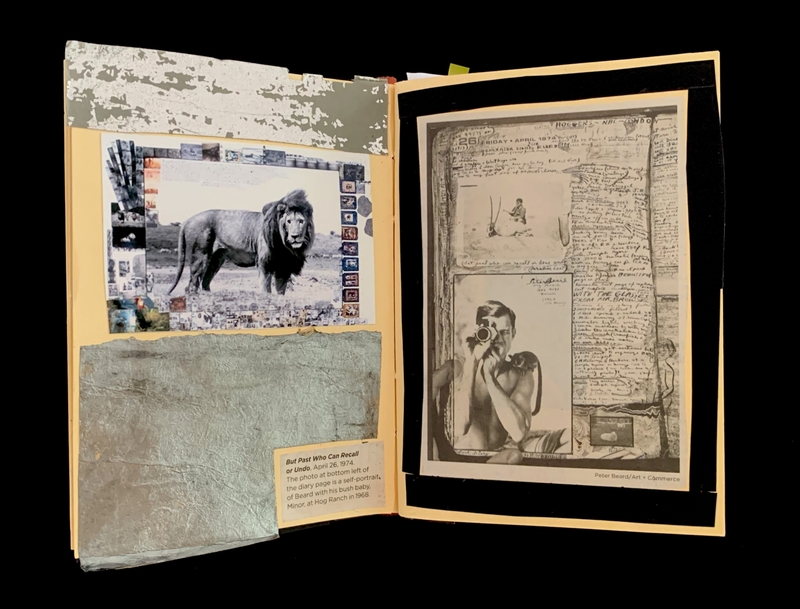 A scrapbook page featuring a photograph of a lion and a self-portrait of a man with a camera.