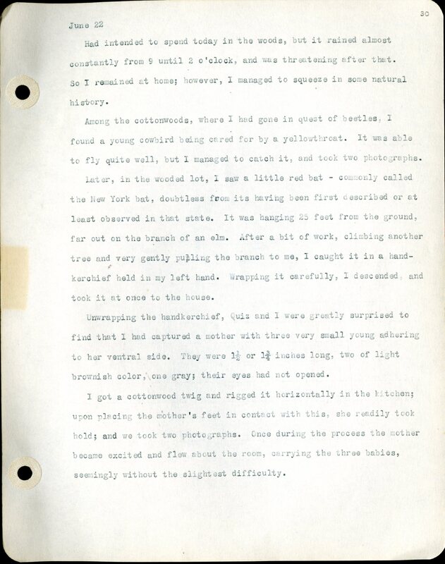 Frank H. Shoemaker typescript, 46 pages, detailing bird sightings, field trips, photography, and associated activities in Omaha, Nebraska.