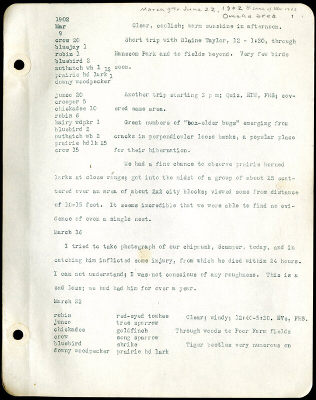 Frank H. Shoemaker typescript, 46 pages, detailing bird sightings, field trips, photography, and associated activities in Omaha, Nebraska.