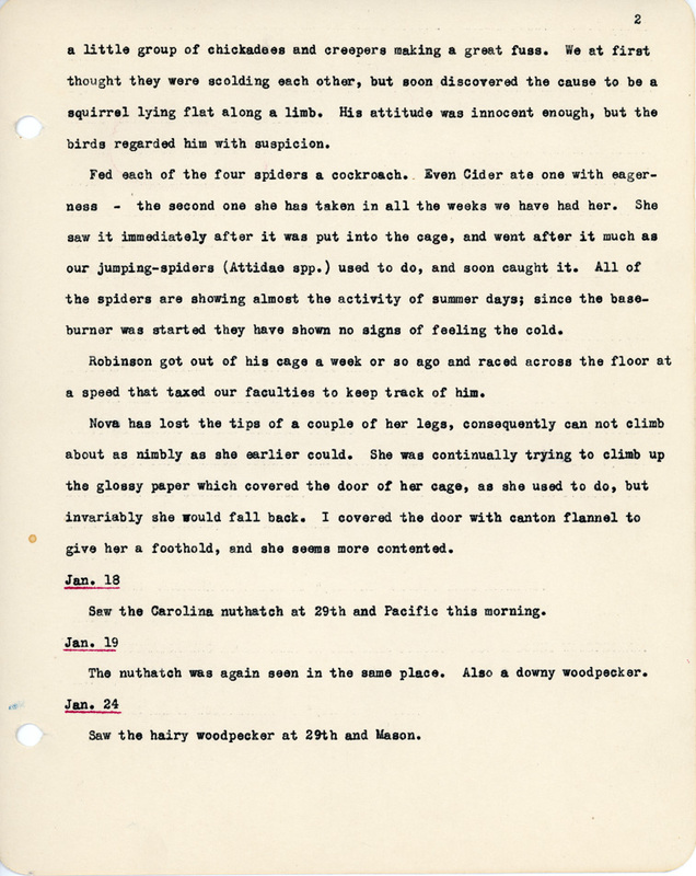 Elizabeth Van Sant transcribed letters