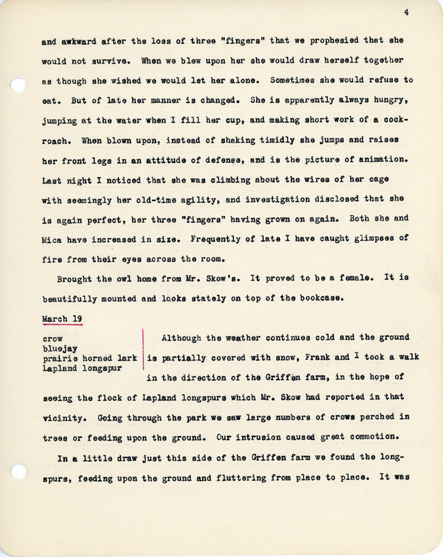 Elizabeth Van Sant transcribed letters