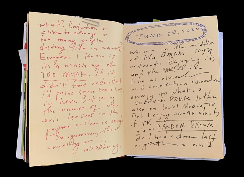 A handwritten journal entry dated June 20, 2020, discussing personal reflections on climate change, evolution, and societal issues.