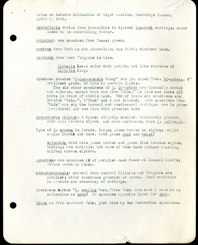 Frank H. Shoemaker typescript, 31 pages, including notes and list on CICINDELIDAE in the Carnegie Museum, Pittsburgh, PN, Nebraska, and his own collection.