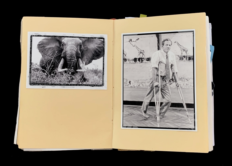 A vintage photograph album page featuring a black-and-white image of an elephant and another of a man using crutches, with a backdrop of wildlife.