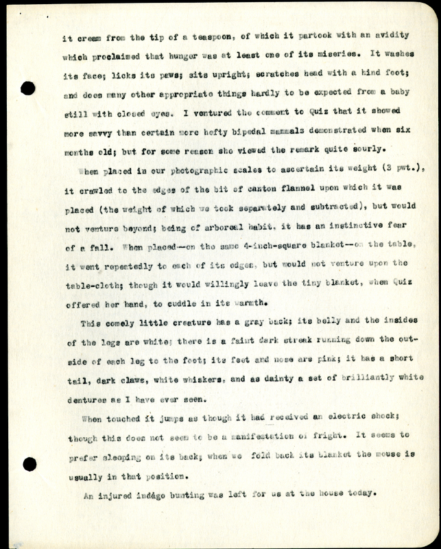 Frank H. Shoemaker typescript, 8 pages, detailing bird sightings, field trips, photography, and associated activities in Omaha, Nebraska.
