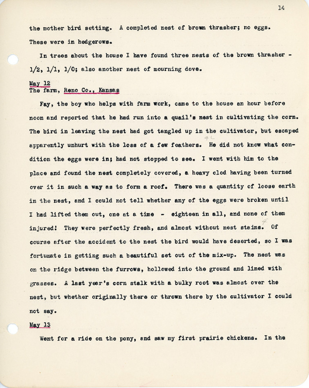 Elizabeth Van Sant transcribed letters