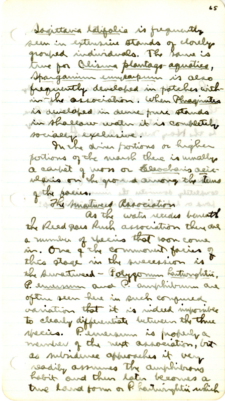 Raymond J. Pool Field Notes and Records