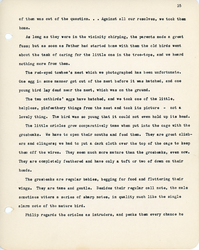 Elizabeth Van Sant transcribed letters