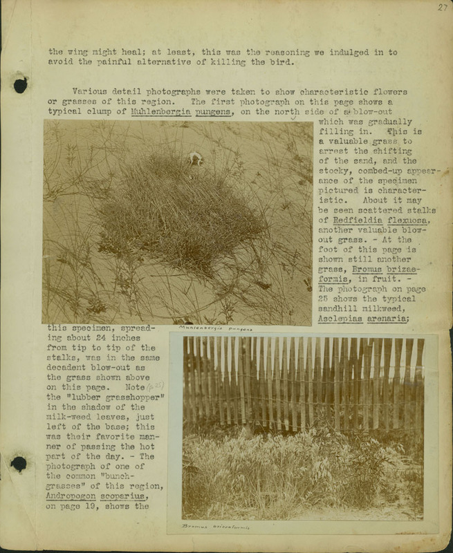 Frank Shoemaker, Narratives, Thomas County, July 3-11, July 27-30, 1911