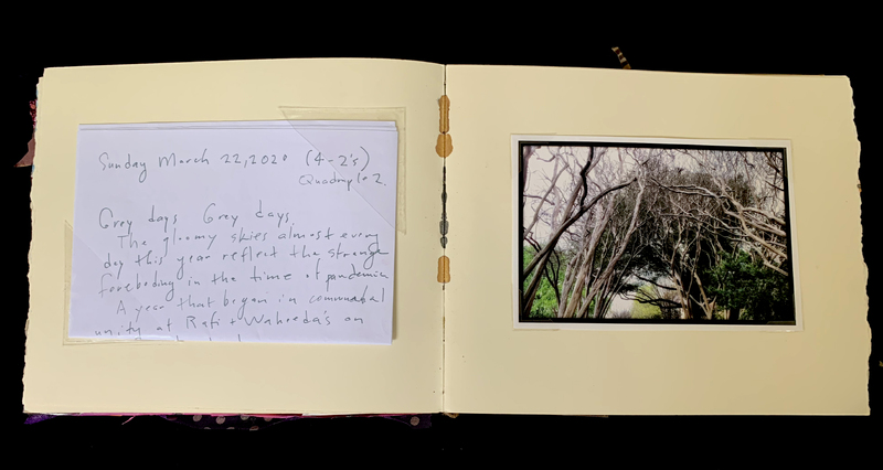 A journal entry dated Sunday, March 22, 2020, accompanied by a photograph of bare tree branches.