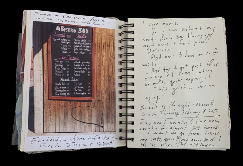 : A handwritten journal entry with a photo of a restaurant menu and accompanying notes.