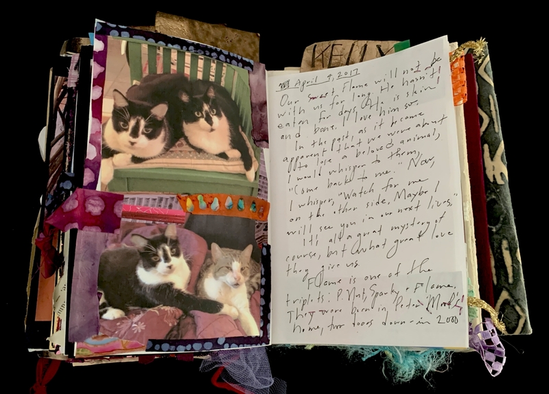 A heartfelt memorial page featuring photographs of cats and handwritten reflections on the loss of a beloved pet.