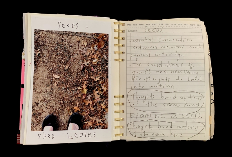 A journal page featuring a photograph of seeds and shed leaves, accompanied by handwritten notes on the importance of mental and physical activity and the connection between thoughts and actions.