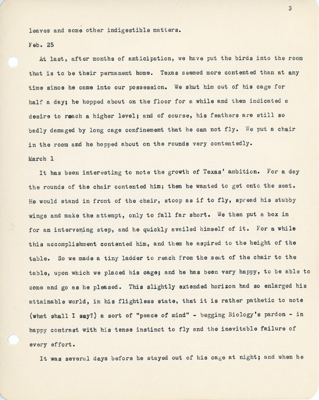Elizabeth Van Sant transcribed letters