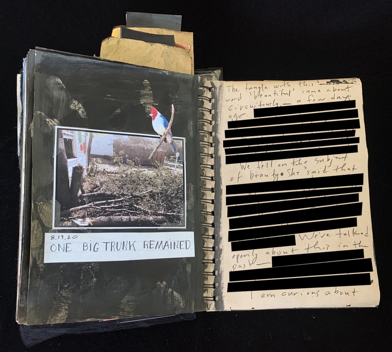 A journal page featuring a photograph of a bird perched on a branch, accompanied by handwritten notes and a partially obscured text.