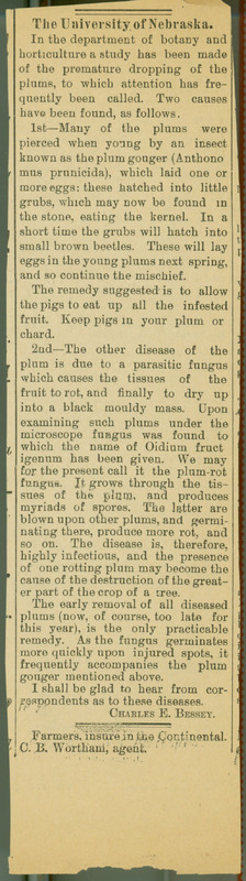 An example of an article Charles E. Bessey wrote in the Daily Nebraskan about his research at the University of Nebraska-Lincoln.