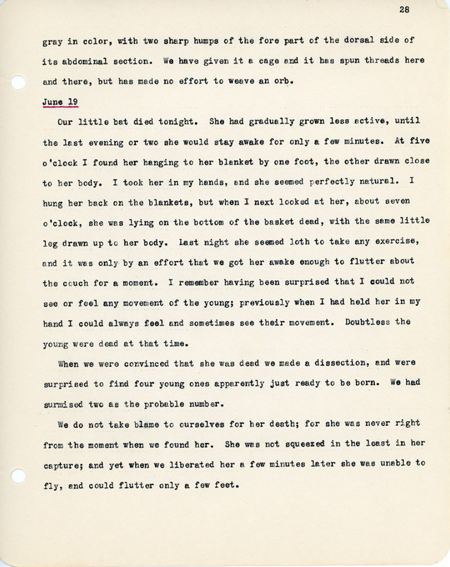 Elizabeth Van Sant transcribed letters