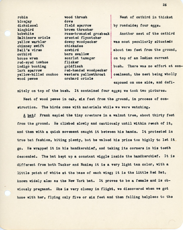 Elizabeth Van Sant transcribed letters